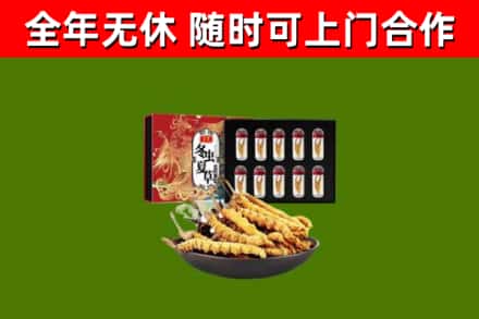 贾汪回收冬虫夏草价格
